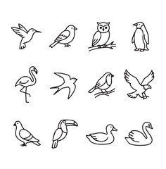 Obraz premium Clean line drawings of diverse bird species on a white background illustrating biodiversity and nature concepts