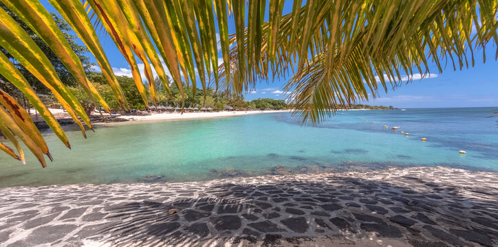Plage sous les cocotiers, &icirc;le Maurice 
