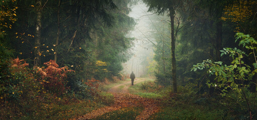 Fototapeta premium Hiker walking on a path in the majestic beauty of a misty autumn forest towards the fog in the distance