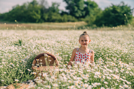 Daisy field picnic featuring a cheerful young girl in a cherry print summer dress amidst blooming Matricaria chamomilla flowers