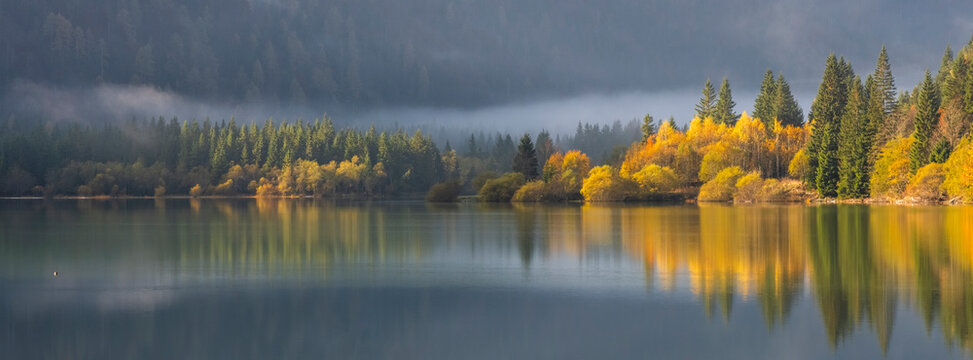 Autumn forest reflecting on the clear lake surface under soft morning fog, representing a serene nature tourism destination in the deep Julian Alps, Predil lake, Tarvisio, Friuli, Italy, Europe.