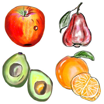 Cute fruit clipart set with apple rose apple avocado orange hand drawn watercolor illustration PNG isolated