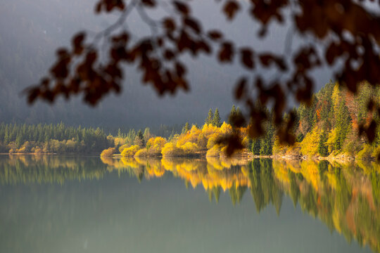Autumn forest foliage reflects perfectly upon the calm lake waters, providing a tranquil nature tourism destination experience within the glorious Julian Alps,Predil lake,Tarvisio,Friuli,Italy.