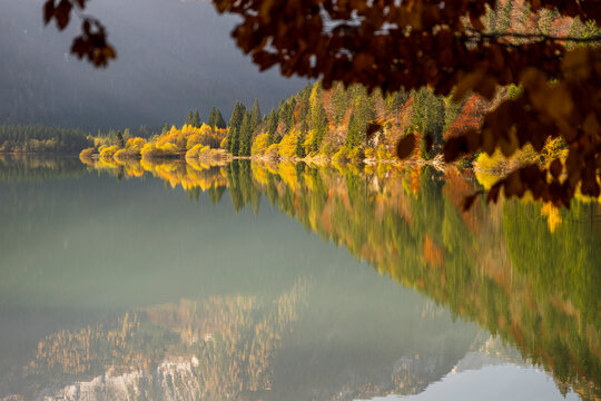 Colorful autumn forest landscapes reflect in the shimmering Predil lake, offering a peaceful tourism destination and nature escape in the Julian Alps, Predil lake, Tarvisio, Friuli, Italy. 12