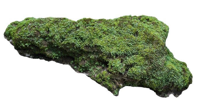 Green Mossy Stone Isolated on Transparent Background