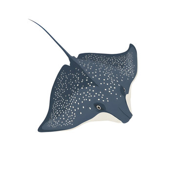 Dark Blue Spotted Stingray Swimming Underwater