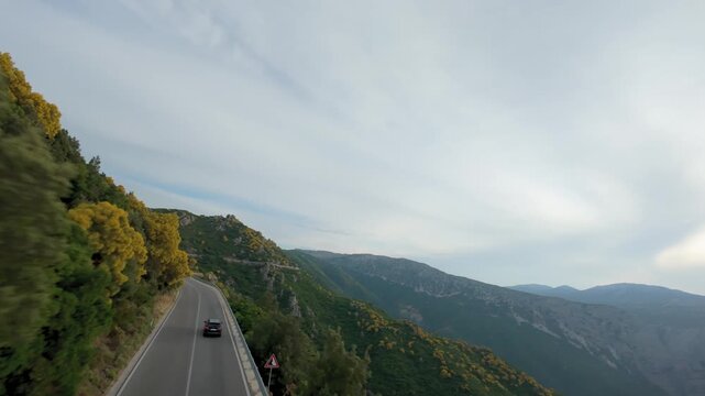 FPV drone footage chasing a car along a mountain road lined with yellow blooming Mount Etna broom, Orientale Sarda, Baunei, Sardinia, Italy.