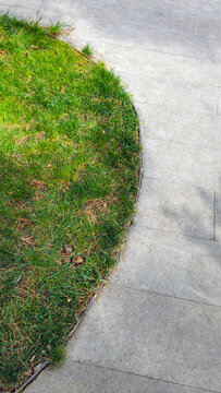 Green lawn border curving along a modern tiled sidewalk, creating a clear visual boundary and contrast between natural outdoor landscaping and urban hardscape design