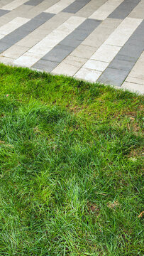 Lush green grass bordering a modern urban sidewalk path, featuring a dynamic striped diagonal pattern of light and dark gray paving stones in a park setting