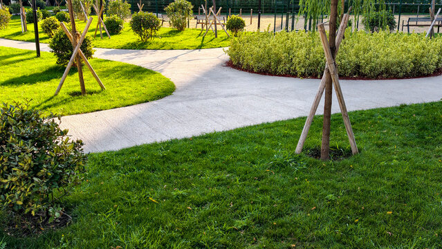Modern park design featuring smooth concrete walkways separating vibrant green lawns and diverse plantings, illuminated by natural sunlight, offering a refreshing urban escape