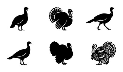 Obraz premium 70 Turkey Silhouette Icons Set, Farm Bird Vector Graphics, Poultry Animal Illustrations, Thanksgiving Poultry Collection 100