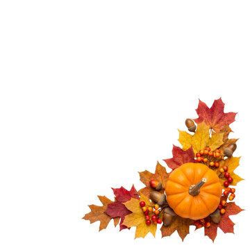 Autumn corner frame with pumpkin