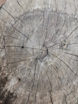 light brown wooden surface for background