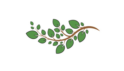 Obraz premium Hand drawn illustration of a natural green leafy branch with detailed brown stems isolated on a white background.