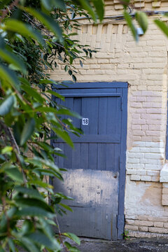 Old painted wooden door on vintage yellow brick building facade with green foliage leaves