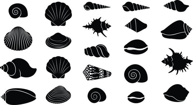 Set of black sea shell silhouettes on a flat design