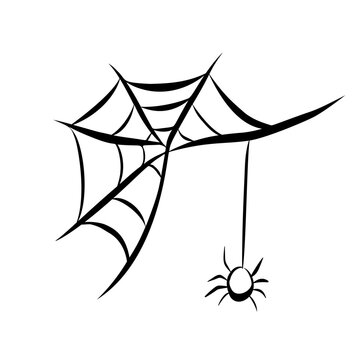 Minimalistic black and white spider hanging from web