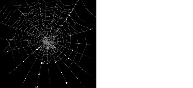 Corner cobweb overlay with black preview and transparent PNG version, ready for Halloween decoration and eerie design compositions.