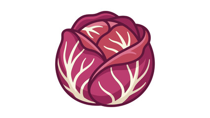 Fototapeta premium Red Cabbage Flat Vector Illustration