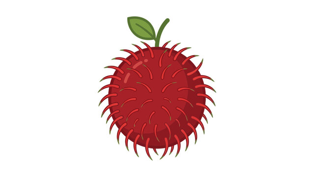 Rambutan Fruit Flat Vector Illustration