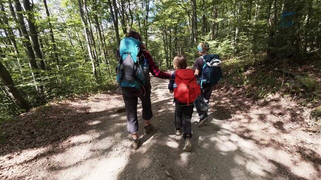 Family Hiking with Backpacks Along a Sunny Forest Trail, Rear View
