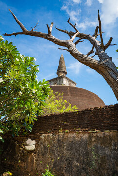 Polonnaruwa Rankoth Vihara Dagoba, Sri Lanka, Asia
