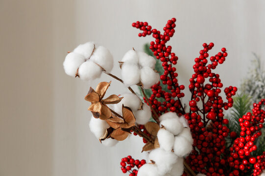 Arrangement of cotton and red berries on a light background in a decorative display