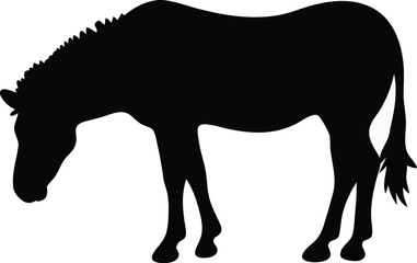 Fototapeta premium Black silhouette of a grazing zebra, isolated vector illustration on white background