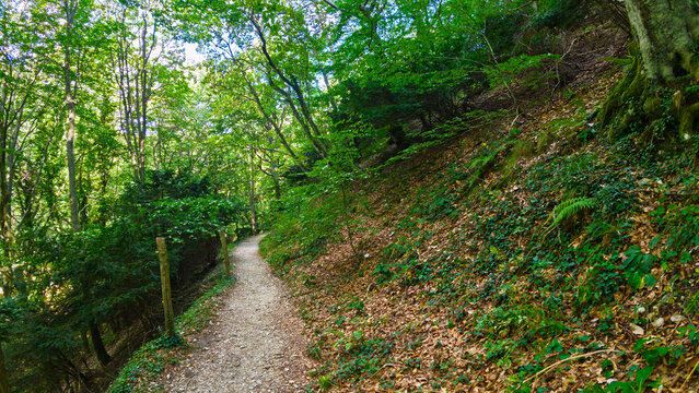Hiking in the beech forest of Val di Ranco - Umbria - Italy