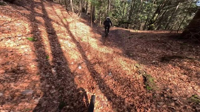 Slow Motion POV Mountain Biking Down Autumn Forest Trail