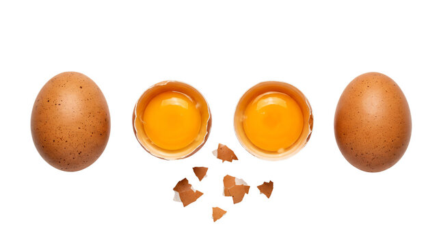 Fresh brown chicken eggs placed alongside cracked open shells with bright golden yolks arranged neatly in rows on transparent background