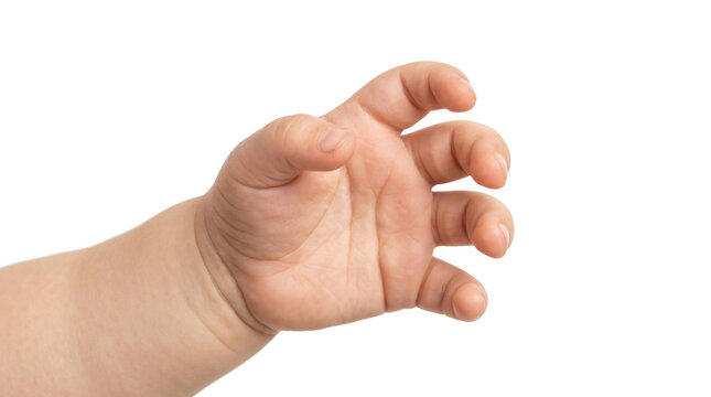 Soft infant hand reaching forward with delicate fingers showing innocent exploration captured in sharp high resolution detail on transparent background