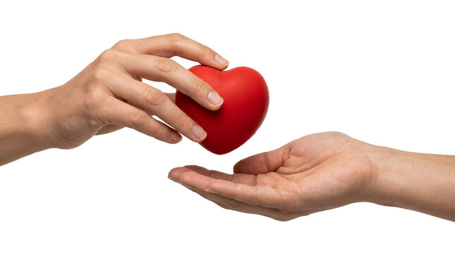 Gentle hands carefully passing a smooth bright red heart symbol to another person to show compassion on transparent background