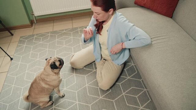 Woman kneels on a patterned rug and raises her hand toward a pug sitting in front of her in a bright living room.