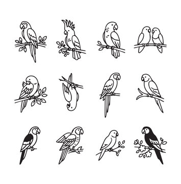 Collection of stylized parrot illustrations on branches with delicate leaves isolated on white