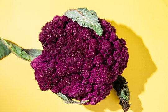 Fresh purple cauliflower head with green leaves on bright yellow background
