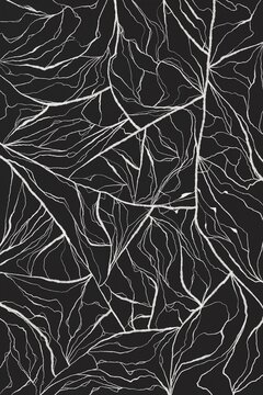 White organic lines create an abstract pattern on a black background