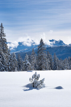 Germany, snow-covered Winklmoosalm with Loferer Steinberge in the background