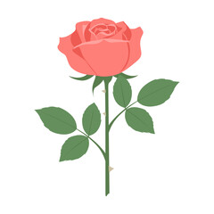 Obraz premium Pink rose flower vector illustration with green stem and leaves on white background