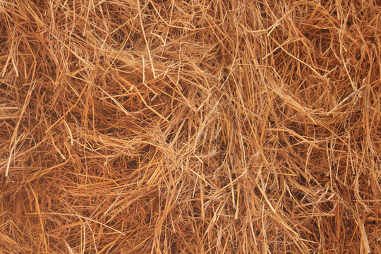 Dry straw texture background, abstract agricultural hay pattern with golden brown dried grass stalks for organic eco friendly design layout