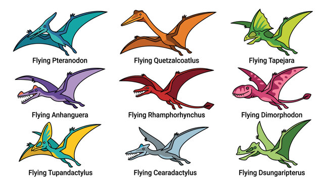 Set of flying pterosaur dinosaur vector illustrations.