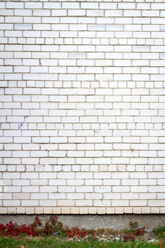 Old cracked white brick wall with green grass. Architectural detail background.