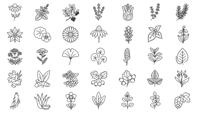 A collection of 35 black line icons depicting aquatic plants, riparian plants, lotus flowers, algae, carnivorous plants, and various other natural vegetation.