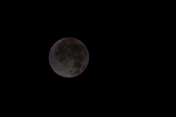 Fototapeta premium moon in the night sky