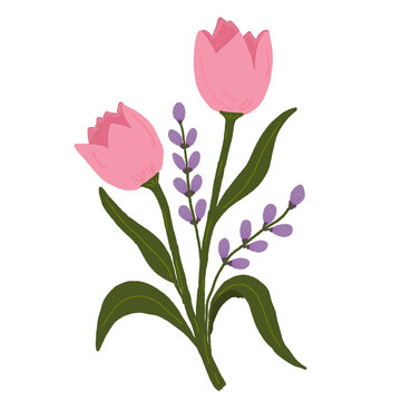 pink and purple tulip plants