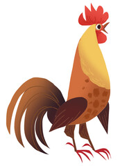 rooster isolated on white background © Phuoc Nguyen