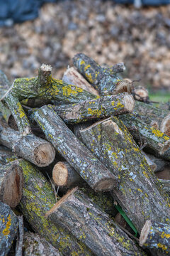 Firewood stacked outside a rural house