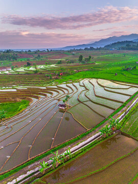 the beauty of the foggy morning panorama with sunrise and rice fields in Bengkulu, indonesia, asia