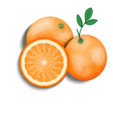 Oranges with leaves transparent background