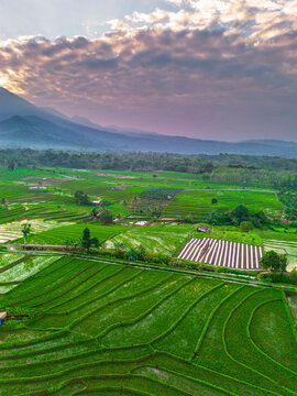 the beauty of the foggy morning panorama with sunrise and rice fields in Bengkulu, indonesia, asia